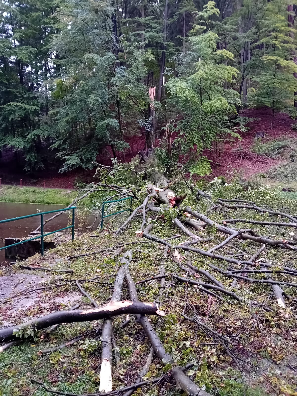 Nedoporučujeme návštěvu Prachovských skal